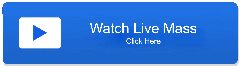 Velankanni Live Streaming | Shrine Basilica Mass Live | Vailankanni